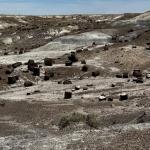 2023OTRA_734 (May 07, 2023)